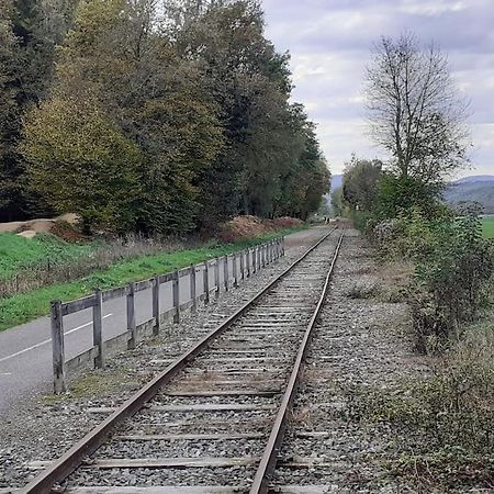 A L'Oree Du Bois "Les Hetres" Guewenheim Eksteriør bilde